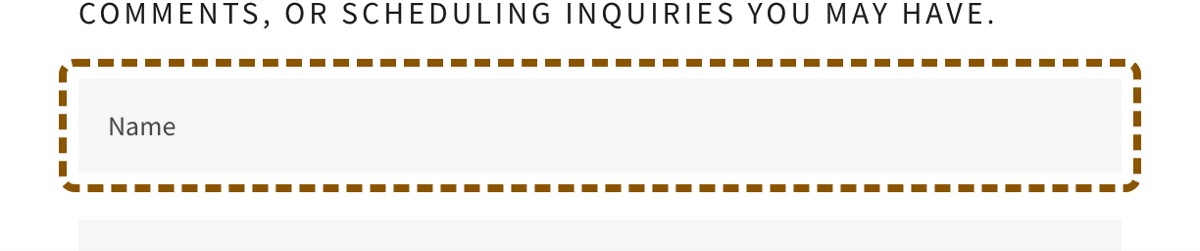 The contact form. The name field, outlined, and the email field below it.